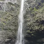 Quintinha Dos Reis 別荘 フンシャル