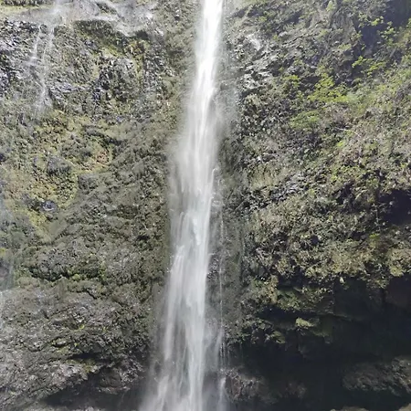 Quintinha Dos Reis Дом отдыха Фуншал